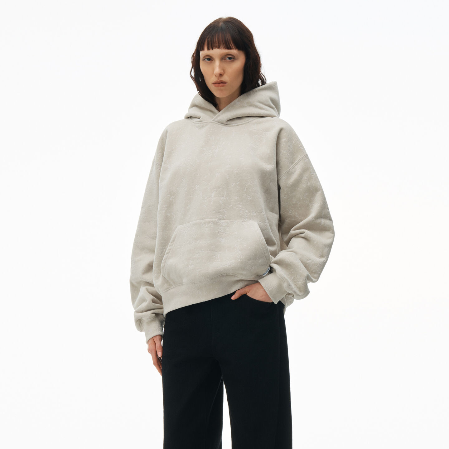 Alexander Wang Hooded Sweatshirt In Flocked Terry With Logo Flag Tag In Storm