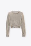 Alexander Wang champagne pullover champagne con strass termoapplicati