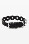 Alexander Wang black 凹槽铆钉宠物狗项圈