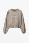 alexander wang dollar bill crewneck in terry metallic sanctuary