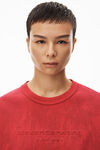 alexander wang plaster dyed long sleeve in compact jersey chinaberry combo