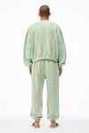 alexander wang crewneck sweatshirt in garment dyed terry mint