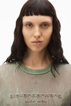 alexander wang plaster dyed logo tee in compact jersey kelly green combo
