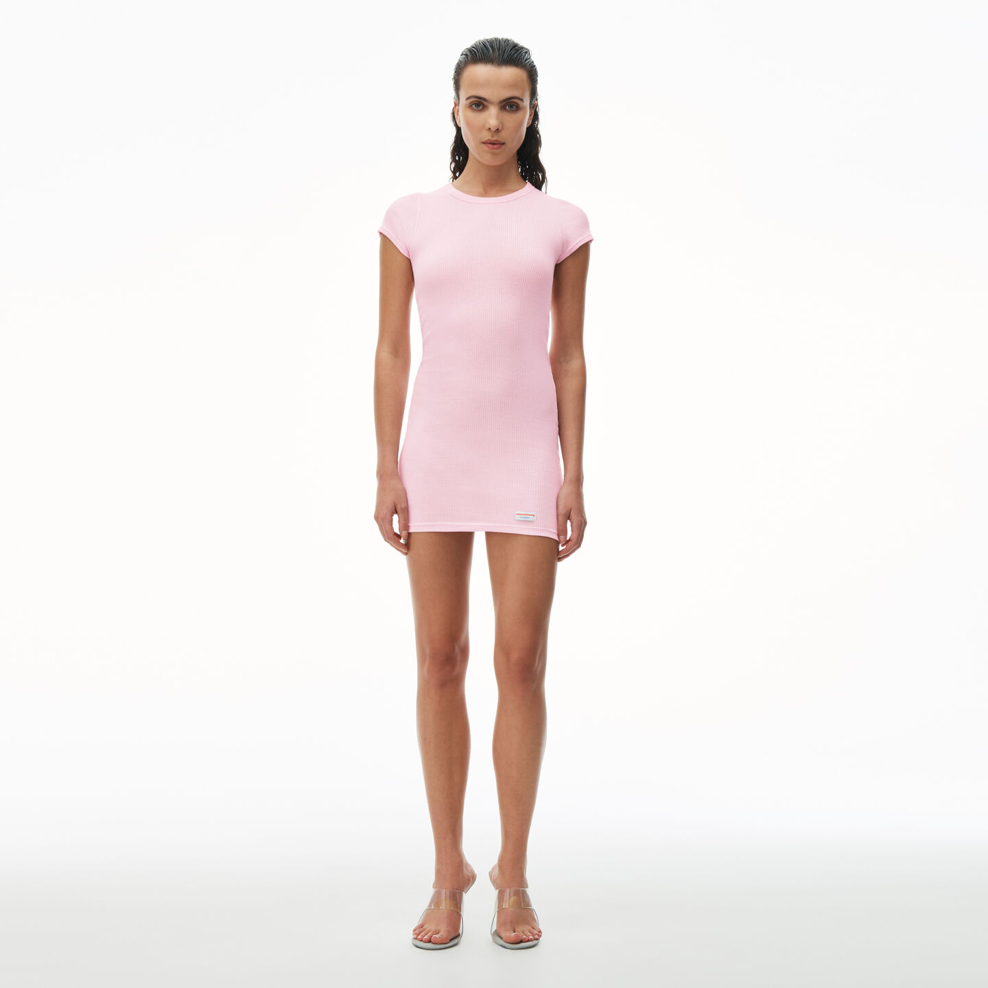 Alexander Wang Short Sleeve Crewneck Dress In Ribbed Cotton In Light Pink