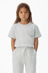 alexander wang essential 平纹针织布短袖 t 恤 light heather grey