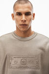alexander wang dollar bill crewneck in terry metallic sanctuary