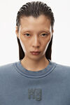 alexander wang 发泡徽标装饰硬挺毛圈布运动衫 motor grey