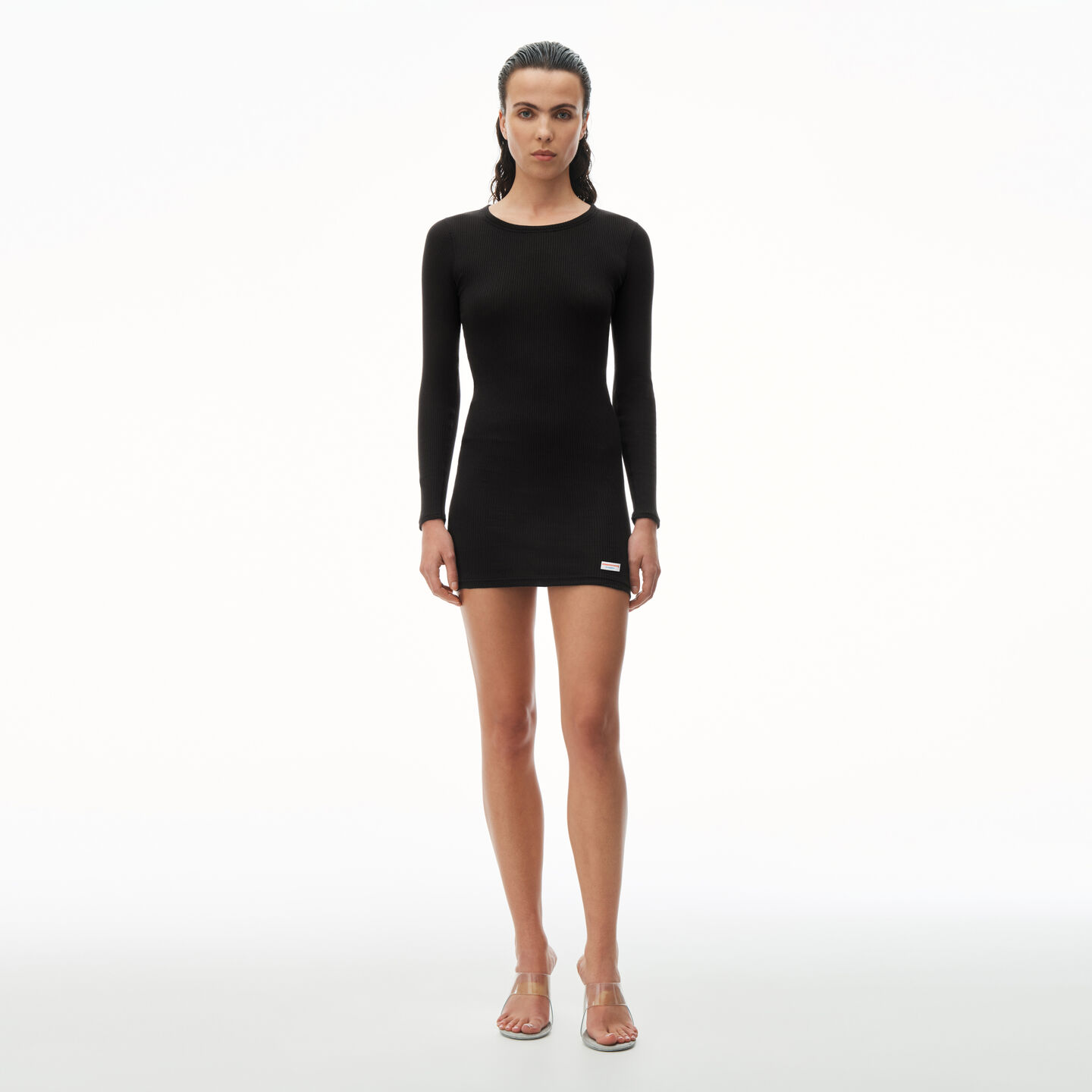 Alexander Wang Long Sleeve Crewneck Dress In Ribbed Cotton In Black