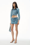 Denim Mini Skirt In Clear Hotfix