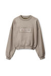 alexander wang dollar bill crewneck in terry metallic sanctuary