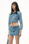 Denim Mini Skirt In Clear Hotfix