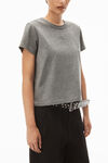 alexander wang グリッタージャージー シュランケンtシャツ sidewalk