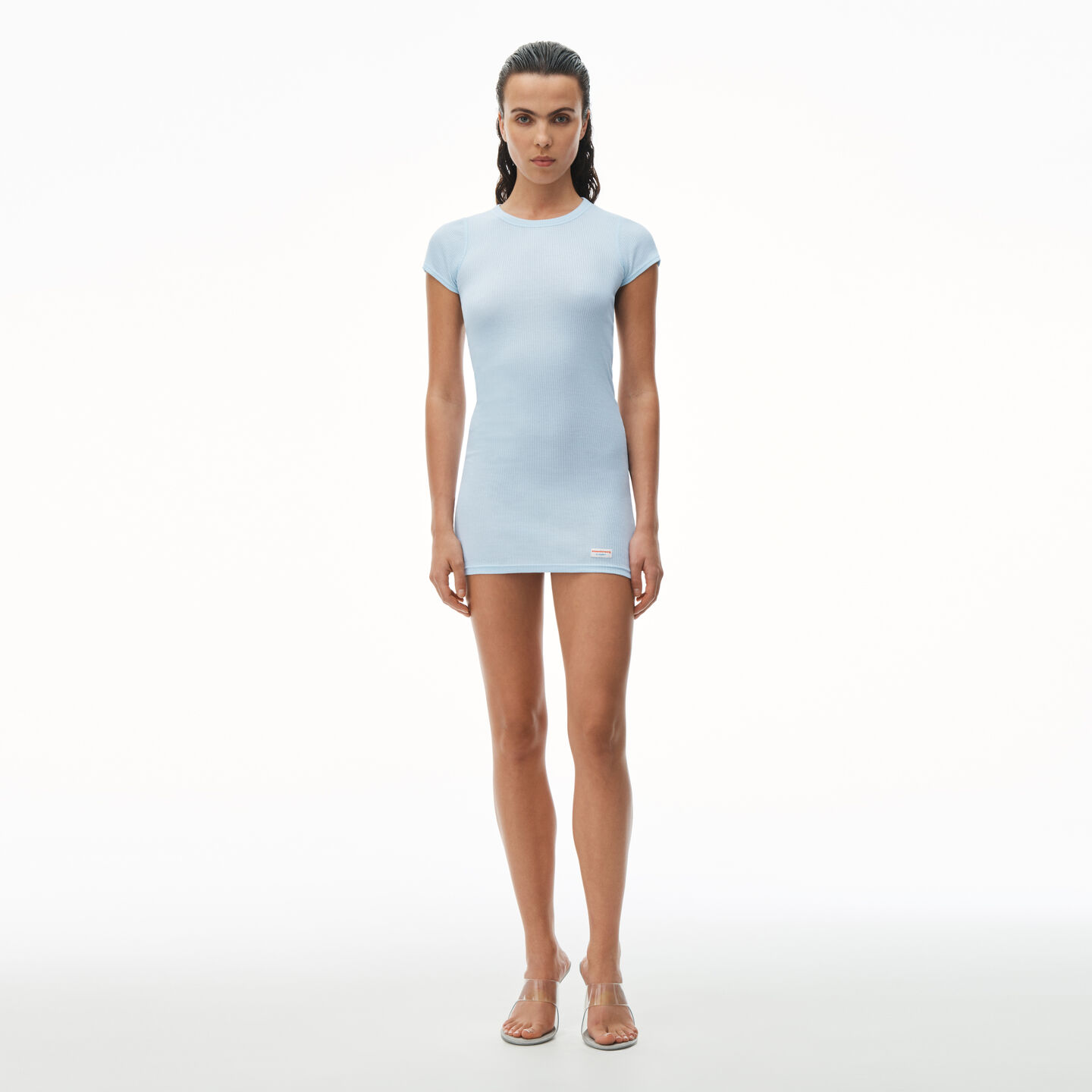 Alexander Wang Short Sleeve Crewneck Dress In Ribbed Cotton In Blue Pearl
