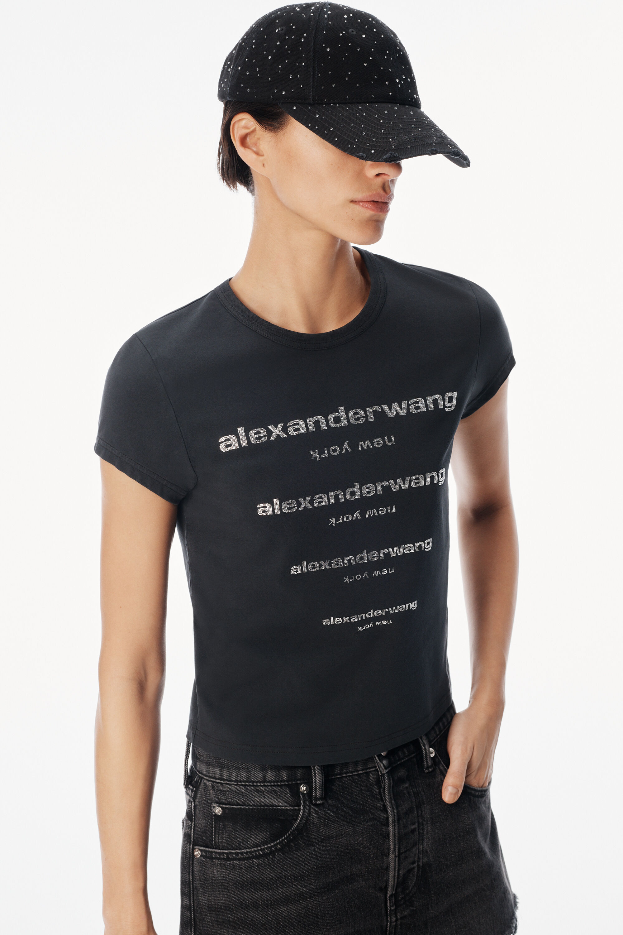 alexanderwang アレキサンダーワング クリスタル グラデーション ロゴ